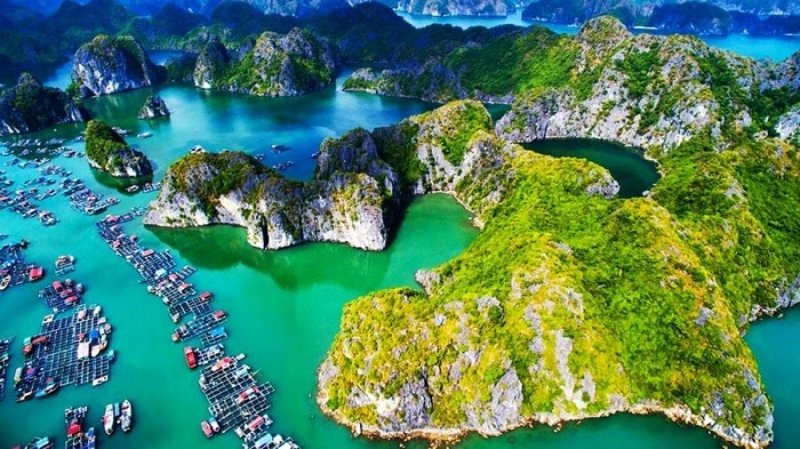 đi du lịch Cát Bà bằng ô tô