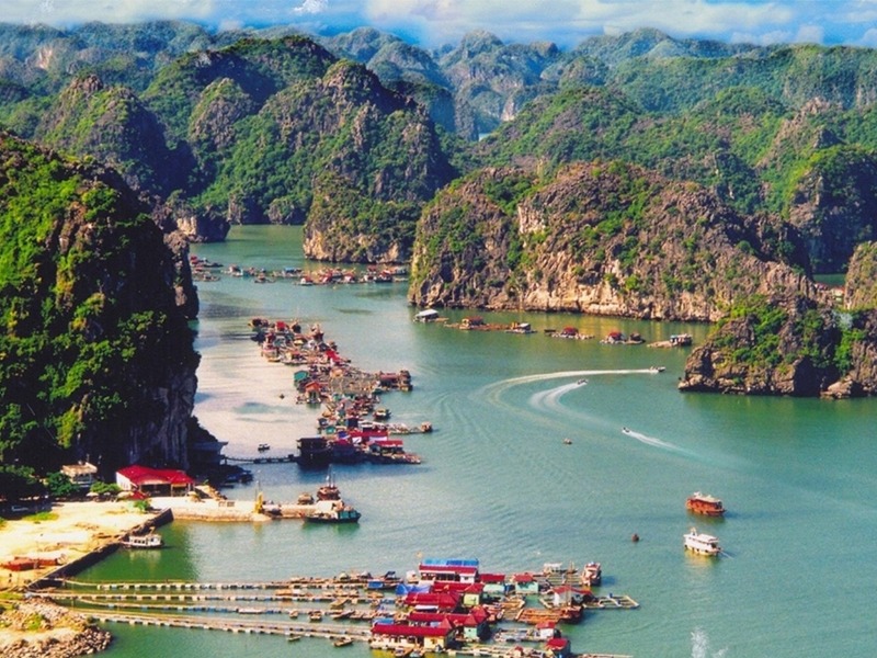 đi du lịch Cát Bà bằng ô tô